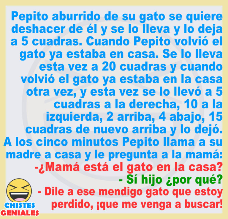 Pepito el distraído 4