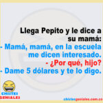 Llega Pepito y le dice a su mamá: – Mamá, mamá, en la escuela me dicen interesado.