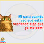 Mi cara cuando veo que están buscando algo que ya me comí