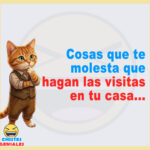 Cosas que te molesta que hagan las visitas en tu casa…
