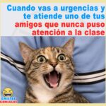 Cuando te atiende en urgencias un amigo que no puso atención