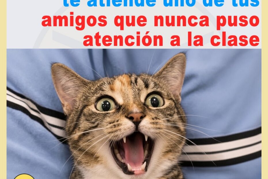 Cuando te atiende en urgencias un amigo que no puso atención 6
