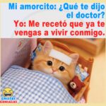 Me recetó que te vengas a vivir conmigo