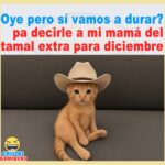 El tamal extra de diciembre