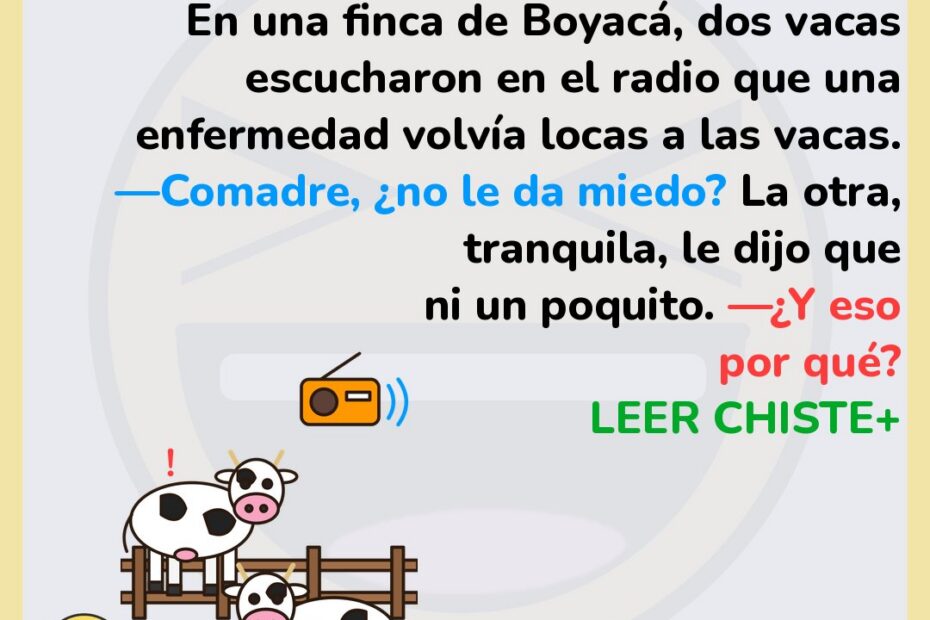 Las vacas y la noticia del campo 6