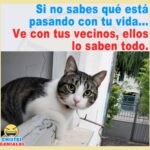 Los vecinos lo saben todo