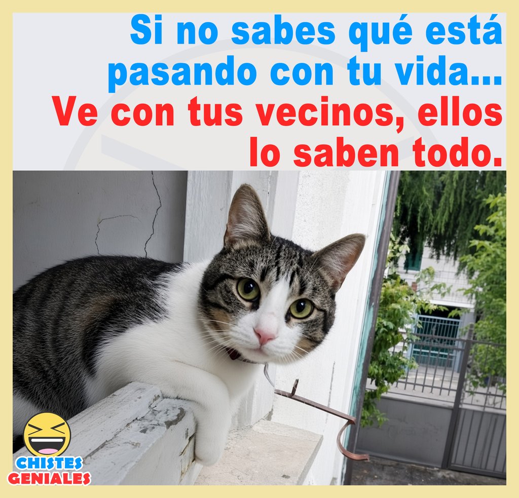 Los vecinos lo saben todo - Chistes Geniales