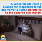 Mando reels y no me acuerdo qué mandé