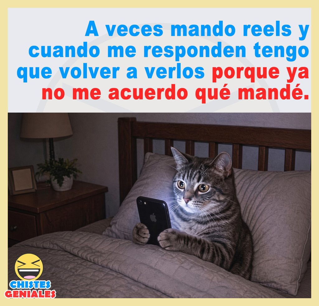 Mando reels y no me acuerdo qué mandé - Chistes Geniales