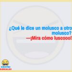 Qué le dice un molusco a otro