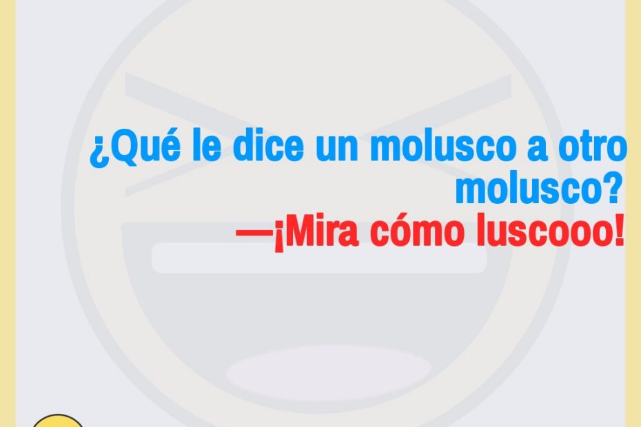 Qué le dice un molusco a otro 5