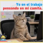 Yo en el trabajo pensando en mi camita