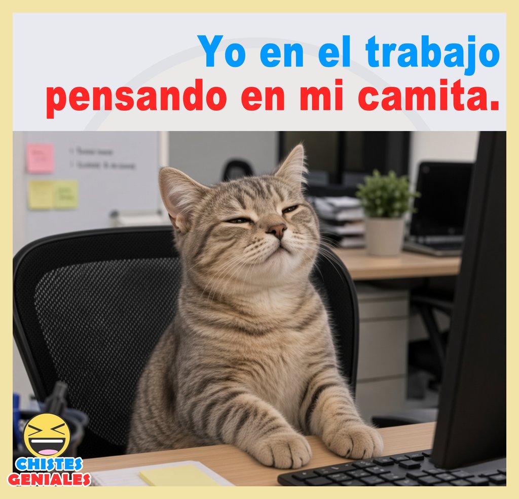 Yo en el trabajo pensando en mi camita - Chistes Geniales
