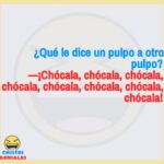 Qué le dice un pulpo a otro