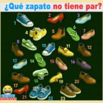 ¿Qué zapato no tiene par?