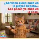¿Quién anda en la playa?
